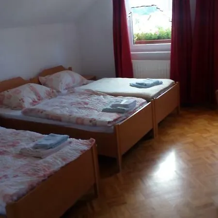 Kmetija Z Nastanitvijo Knavs * Runarsko